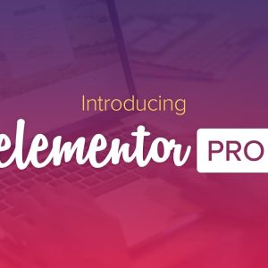 Elementor Pro